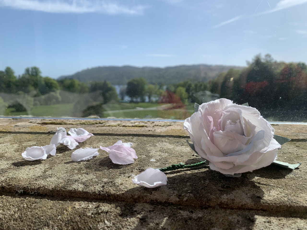 Brockhole creative expereince days - proud of my rose create at Brockhole on Windermere